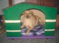 CASA PARA PERRO PEQUEÑO